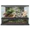 Террариум Nomoy Pet Rainforest tank M2 45х45х30см