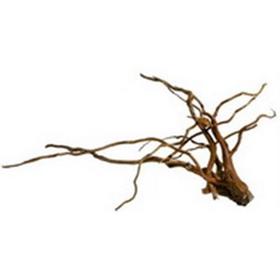 Коряга Красная (кг)