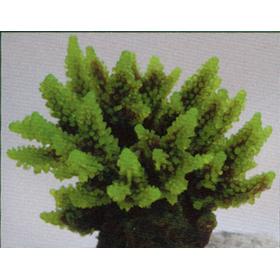 Коралл пластиковый зеленый 11,5x10x9см (SH095G)