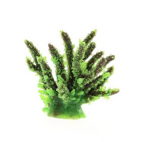 Коралл пластиковый зеленый 12,6x10,7x11см (SH059G)