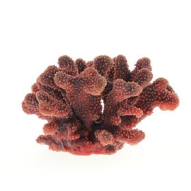 Коралл пластиковый перламутровый 24x21x13,5см (SH9026PI)